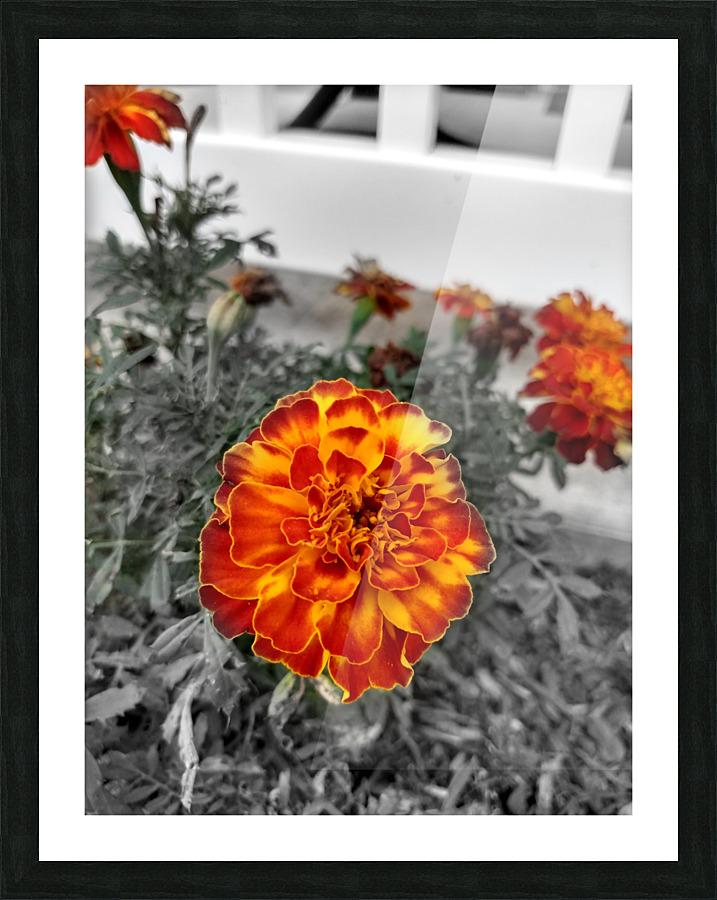 Mum Picture Frame print