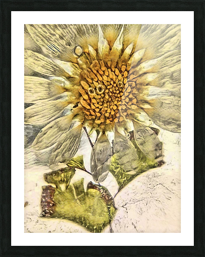 Pretty petals Picture Frame print