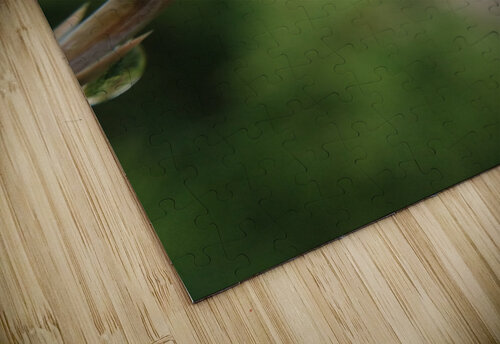 After the rain Eclectic Nostalgic Dreamz puzzle