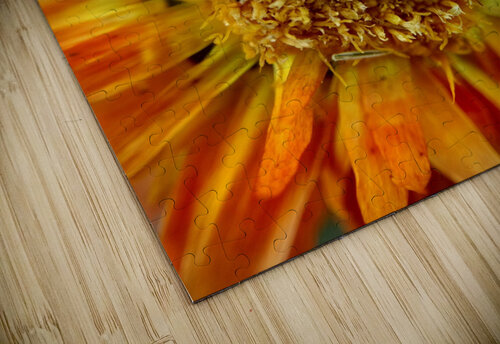 Sunburst Eclectic Nostalgic Dreamz puzzle
