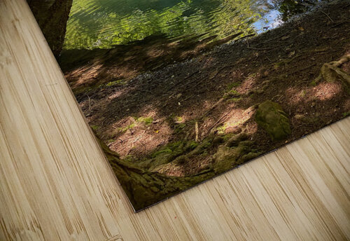 Zen Eclectic Nostalgic Dreamz puzzle