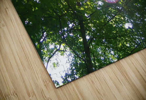 RAYS Eclectic Nostalgic Dreamz puzzle
