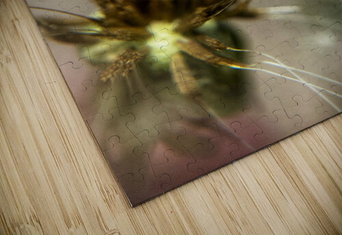 Wish Eclectic Nostalgic Dreamz puzzle