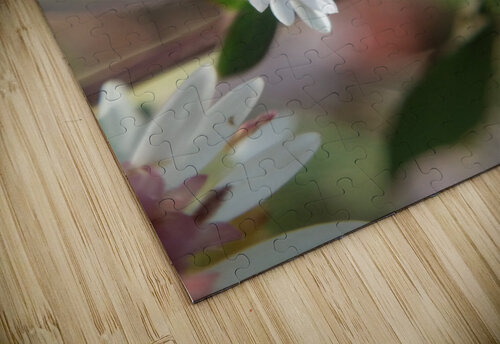 The smallest voyager Eclectic Nostalgic Dreamz puzzle