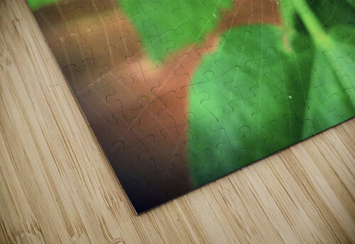 Microthena Eclectic Nostalgic Dreamz puzzle