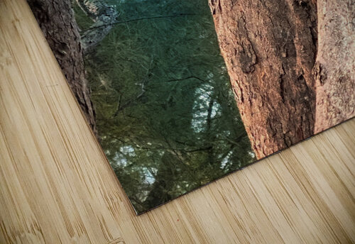 The beach stalker Eclectic Nostalgic Dreamz puzzle