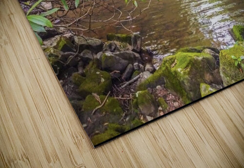Waterfall Eclectic Nostalgic Dreamz puzzle
