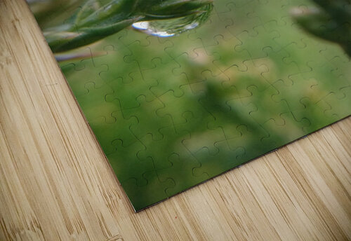Rain Tears Eclectic Nostalgic Dreamz puzzle