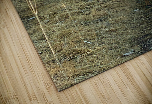 Oh Deer Eclectic Nostalgic Dreamz puzzle