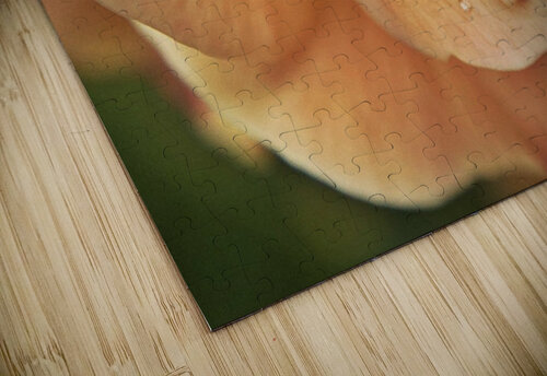 rain drop Eclectic Nostalgic Dreamz puzzle