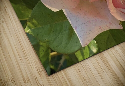 Rose Pichu Eclectic Nostalgic Dreamz puzzle