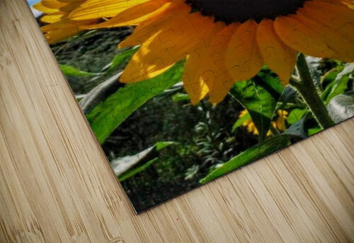 Sunflower Eclectic Nostalgic Dreamz puzzle
