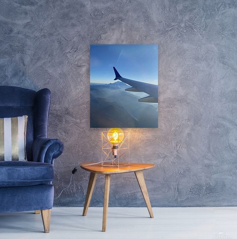 Eagles wings Reproduction
