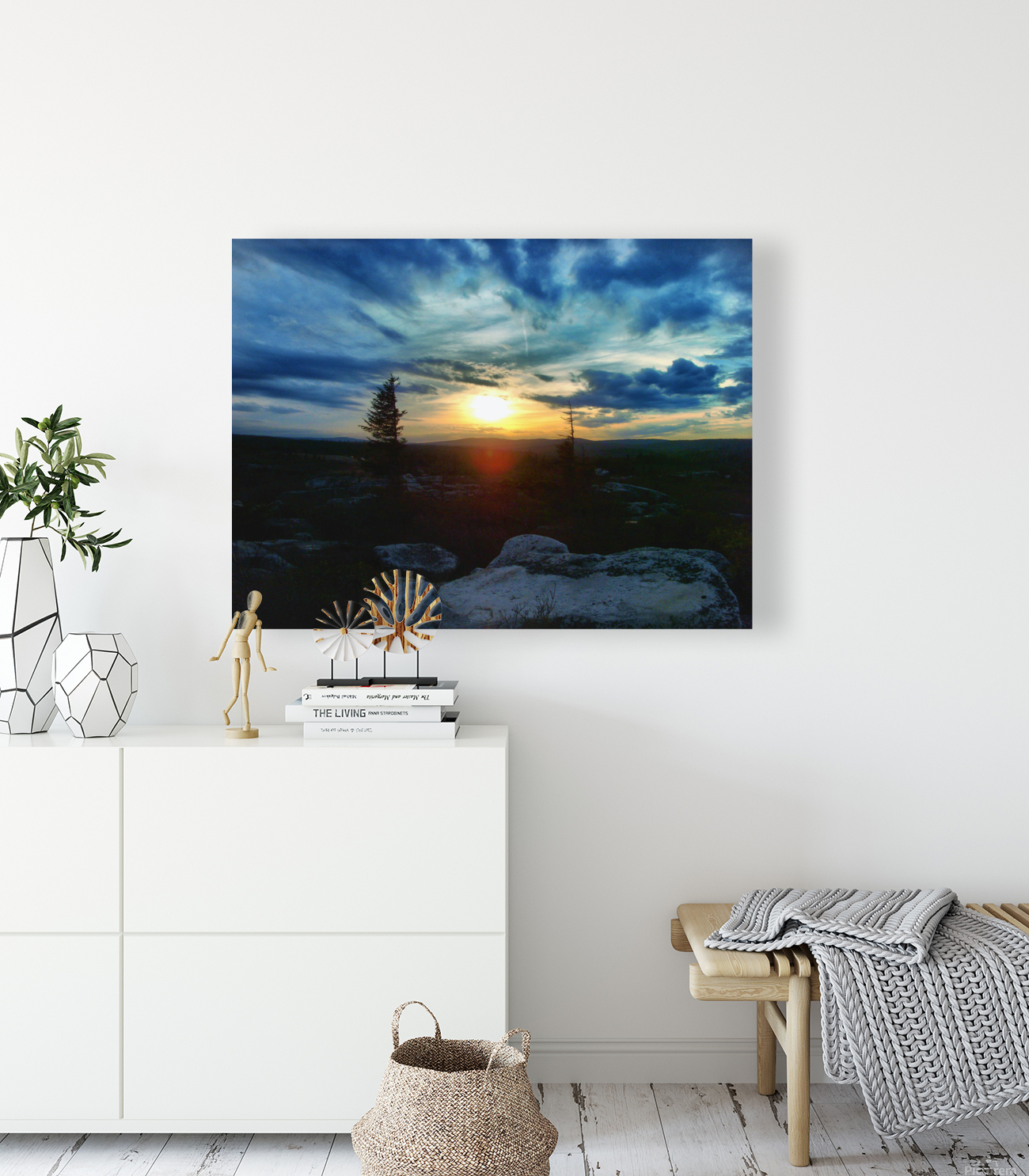 Dolly sods Reproduction