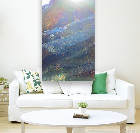 Sunny disposition Reproduction