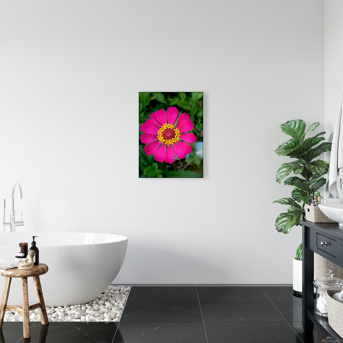 Be vibrant Reproduction