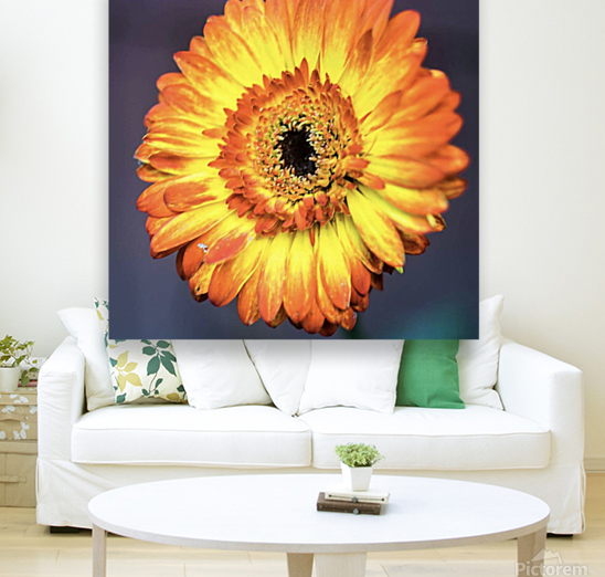 Flower Reproduction