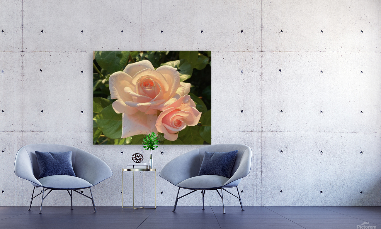 Rose Pichu Reproduction