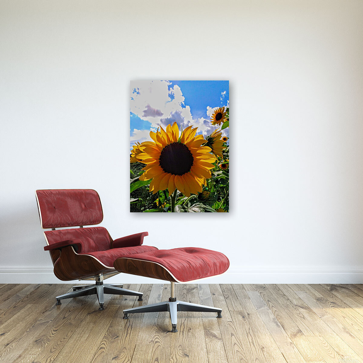 Sunflower Reproduction