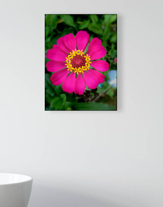 Be vibrant Reproduction