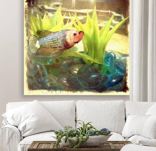 snapdragon  by Eclectic Nostalgic Dreamz