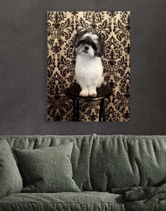 Scruffy  by Eclectic Nostalgic Dreamz