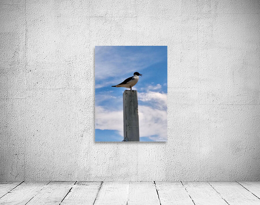 Some bird somewhere Wall Preview