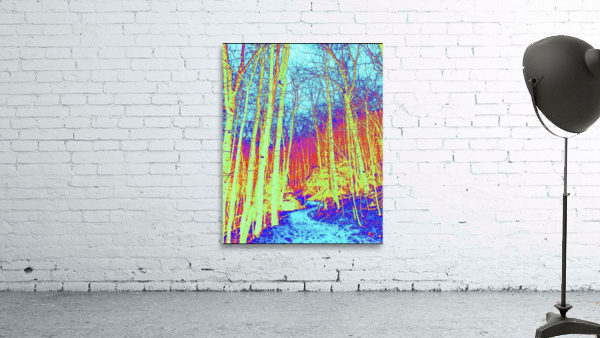 The path Seneca Rocks Wall Preview