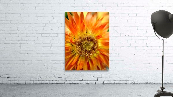 Sunburst Wall Preview