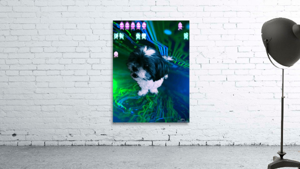 Lost in the Matrix Wall Preview