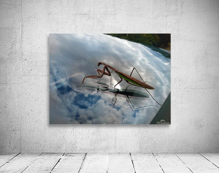 A bugs life Wall Preview