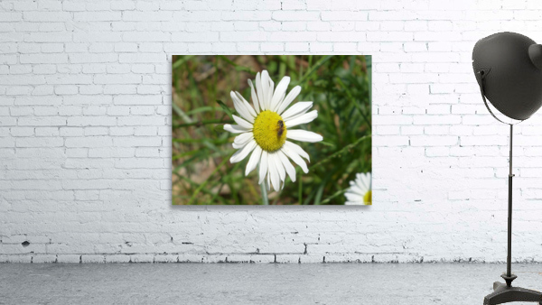 The tiniest visitor Wall Preview