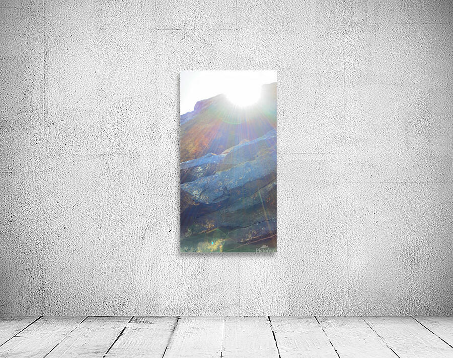 Sunny disposition Wall Preview
