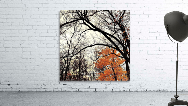 This is Halloween Wall Preview