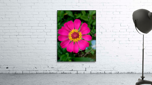 Be vibrant Wall Preview