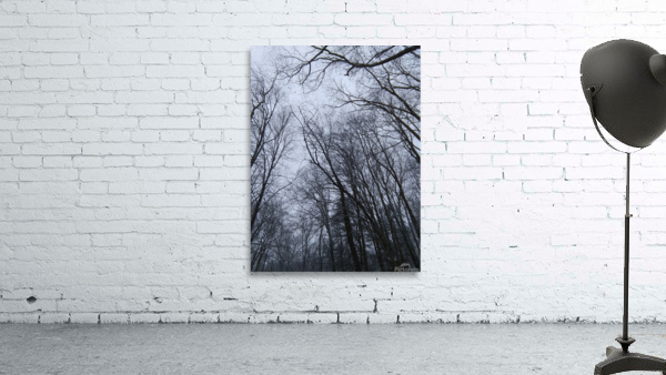 A long december Wall Preview