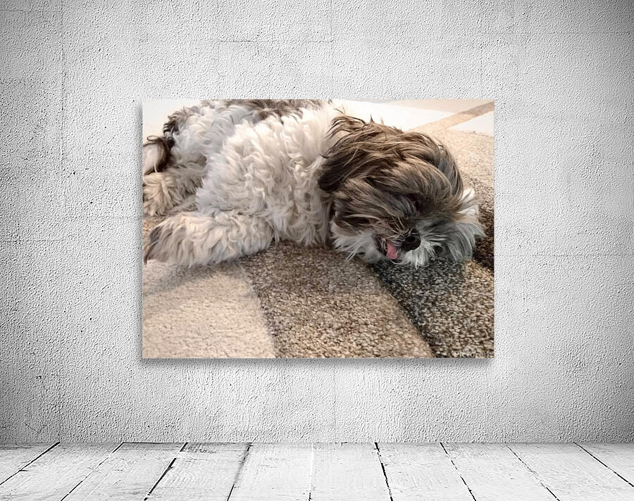 Sleeperoni Wall Preview