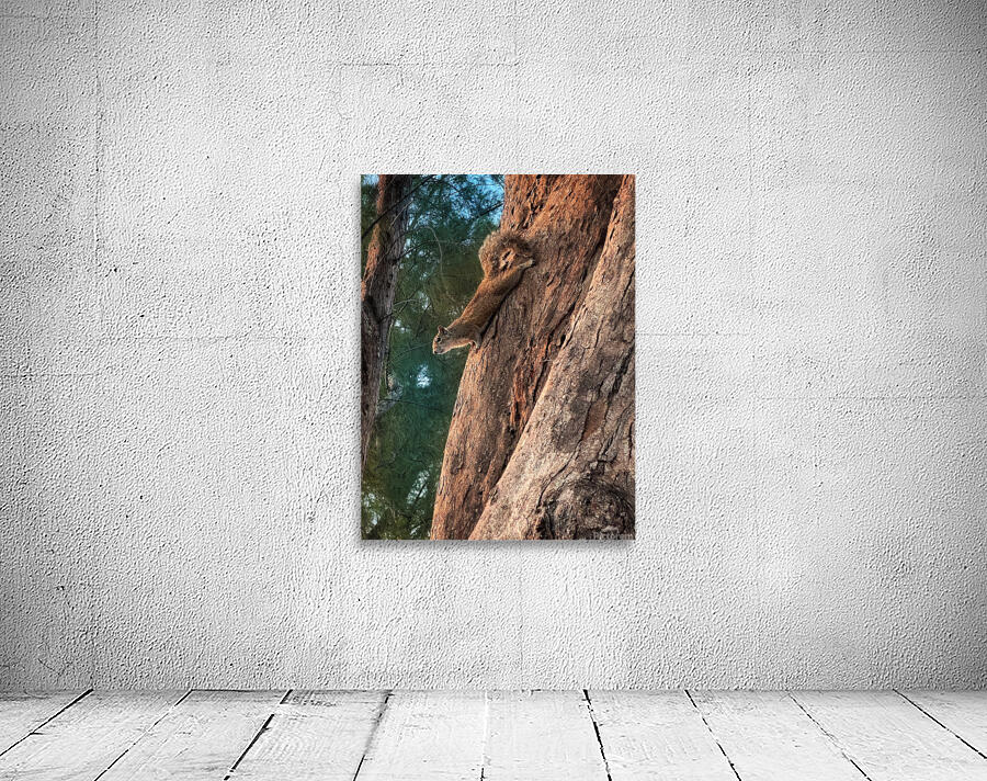 The beach stalker Wall Preview