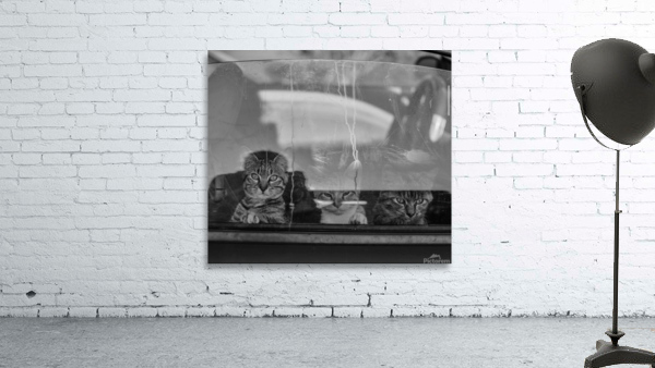 Roadtrip Wall Preview