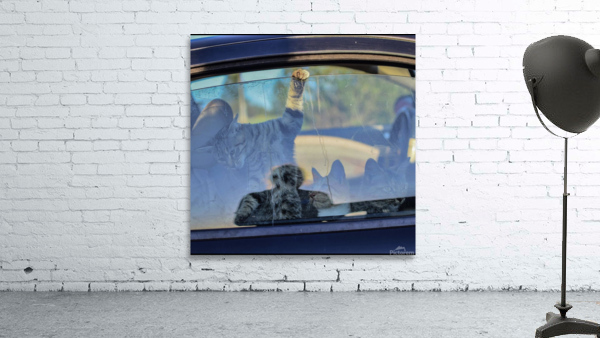 Road trippin’ Wall Preview