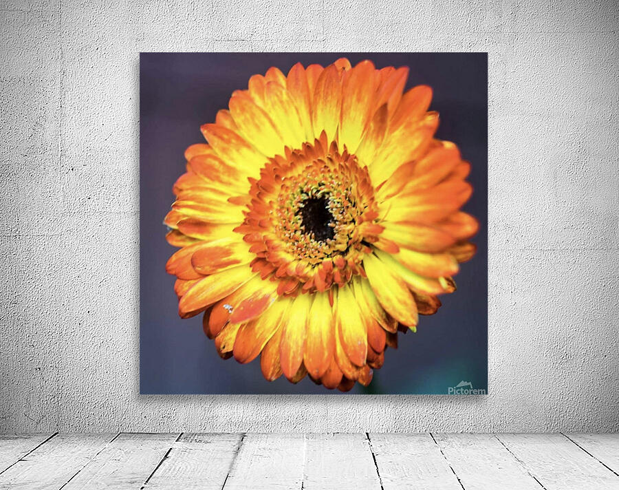 Flower Wall Preview
