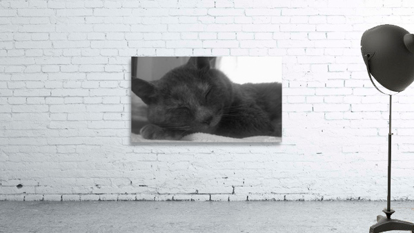 Meowser Wall Preview
