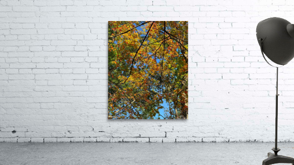 Autumn Breeze Wall Preview