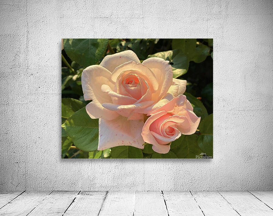 Rose Pichu Wall Preview