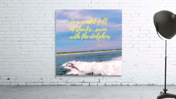 Dolphin Wall Preview