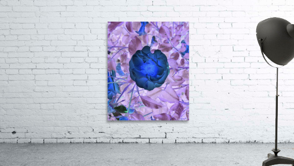 The darkest rose Wall Preview