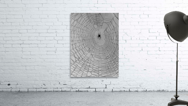 The webweaver  Wall Preview