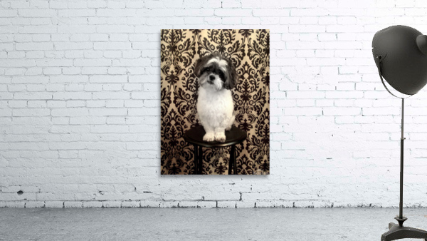 Scruffy  Wall Preview