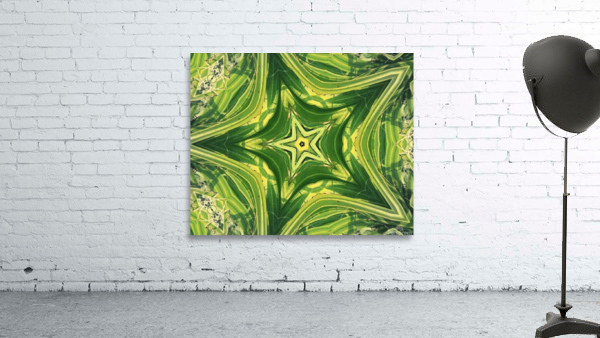 Tropics Wall Preview