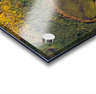 Natural Bog Acrylic print